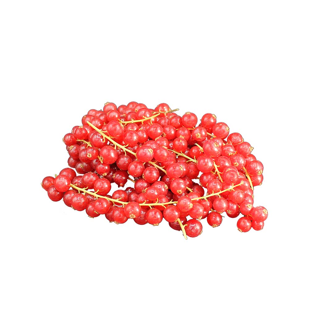 Rode bessen, per doos (125 gram)